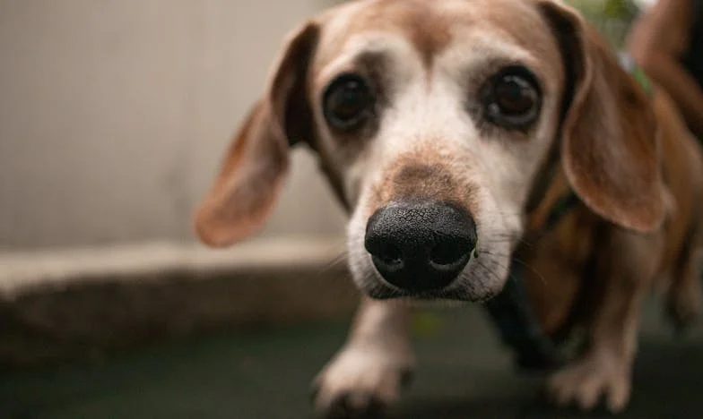 Jak mi Jenda změnil život a naučil mě znovu věřit lidem (i když jsem to nechtěla)