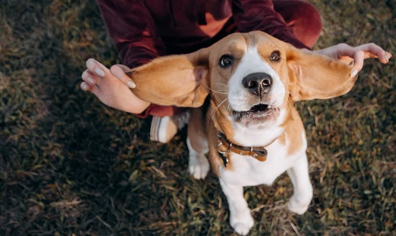 Jak mi Max změnil život, když mě rodina odepsala