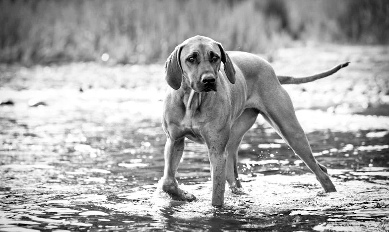 Jedna zimní noc, kdy mi Ben zachránil nejen život, ale i vztah s dcerou