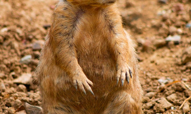 Když babička zemřela, zašeptala mi tajemství, které změnilo celý můj život