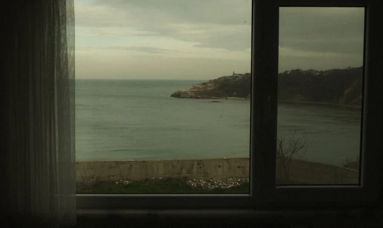 Když mi osud poslal psa: Jak mě Barnabáš naučil znovu důvěřovat lidem