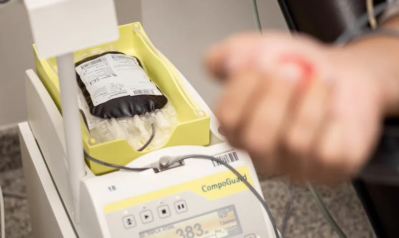 Když mi syn tajně utekl za svatbou: Příběh ztracené důvěry