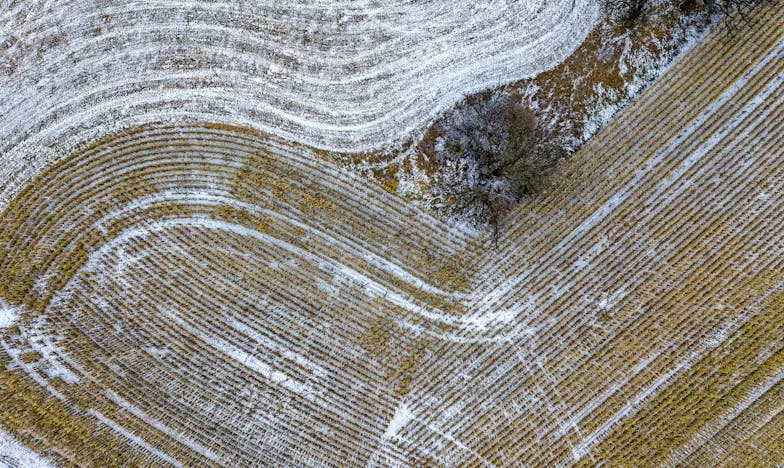 Moje sestra chce vyměnit byty, protože čeká dítě: Rodinné dilema, které mě roztrhlo na kusy