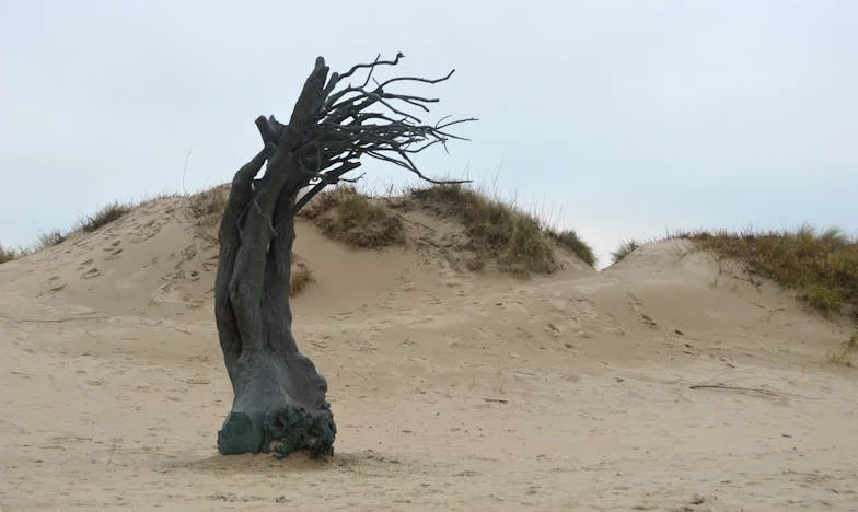 Můj syn je ženatý, ale chce, abych jim uklízela – za peníze!