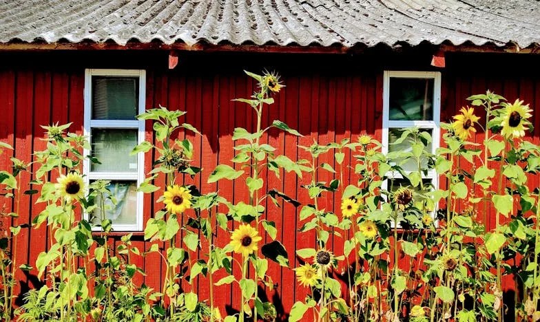 Můj syn opustil rodinu. Já jsem to nedokázala – příběh o bolesti, odpuštění a síle mateřské lásky