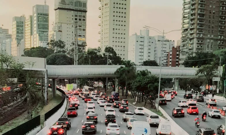 Prase v obýváku nejsem já – Příběh jedné večeře, která změnila můj život