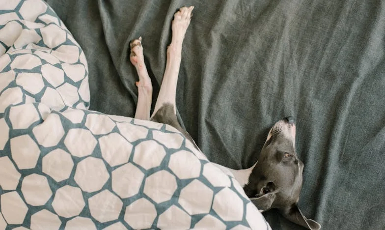 Ten den, kdy jsem tahala Matese zpod zaparkovaného auta a v nose mě pálila vůně spálené gumy, jsem si uvědomila, že všechno je jinak.