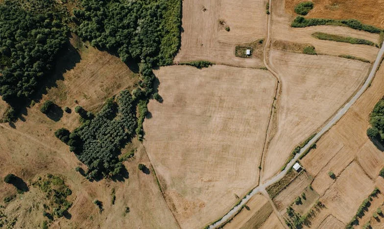 Vánoční oběd, který změnil všechno: Jak jsem poprvé řekla „ne“ své tchyni