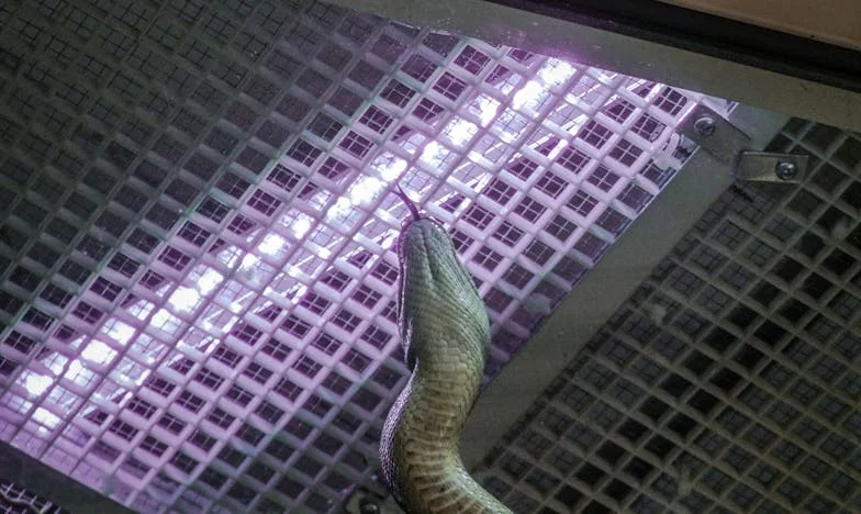 Mezi dvěma světy: Je rodina opravdu domovem?