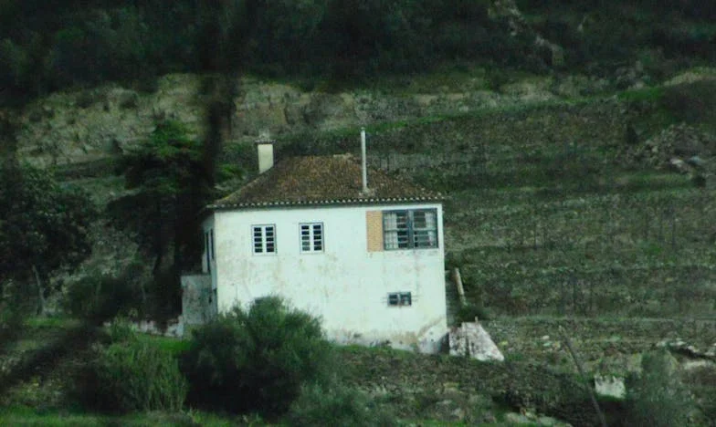 Myslela jsem, že bydlení s bratrancem bude zábava a úspora. Teď už vím, jak moc jsem se mýlila.