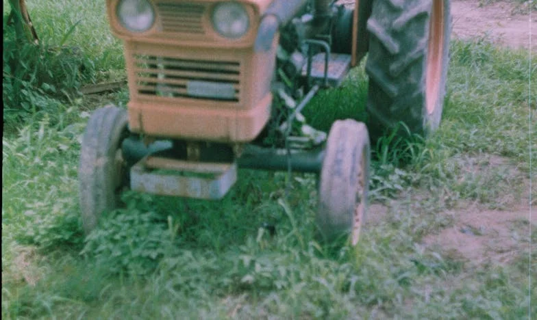 Novoroční bouře: Když nečekaná nevěsta převrátí rodinu naruby