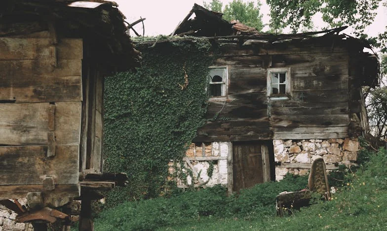 Opomenutá na kraji silnice: Příběh Beáty a malé Zuzanky, která změnila všechno