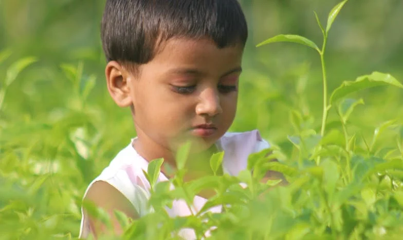 Rozchod s minulostí: Když matka řekne dost