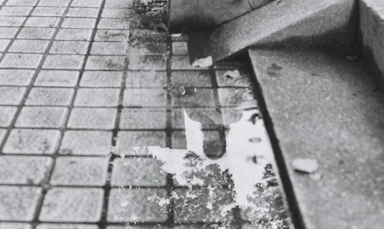 Naleśniki, które zmieniły wszystko: Historia Ewy z Podlasia