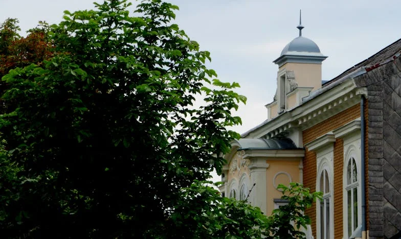Między obowiązkiem a miłością: Opowieść starszej siostry