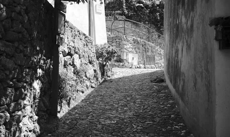 Umbre pe strada noastră: Povestea unei neînțelegeri între generații