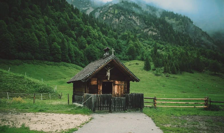Casa care nu mai e acasă – Mărturia unei mame despre trădarea fiului său