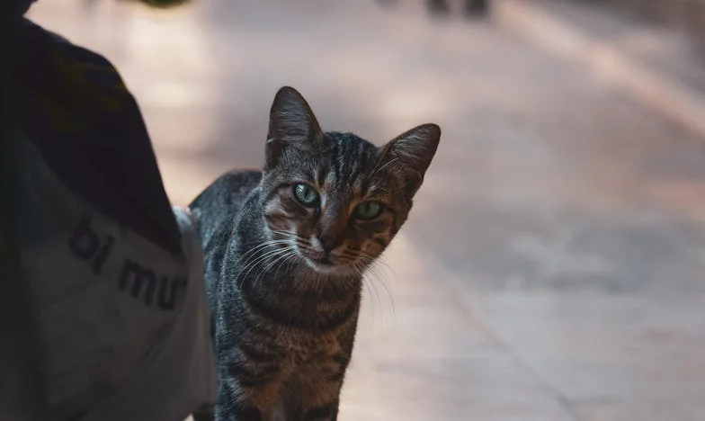Crăciunul în care am învățat să iert