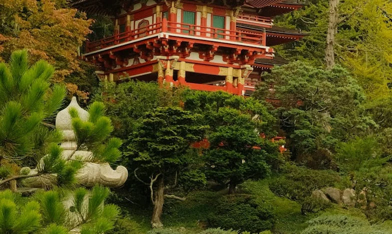 „Ai o lună să pleci”: Povestea unei familii destrămate și a maturizării forțate