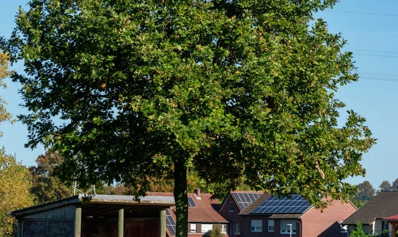 Am dat casa fiicei mele, crezând că va avea grijă de mine: Acum mă roagă să plec