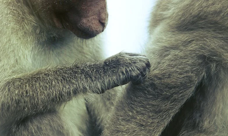 Când mama a ales să tacă: Povestea unei tăceri care doare