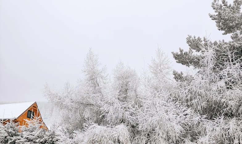 Când moștenirea devine blestem: Povestea mea despre credință, familie și iertare