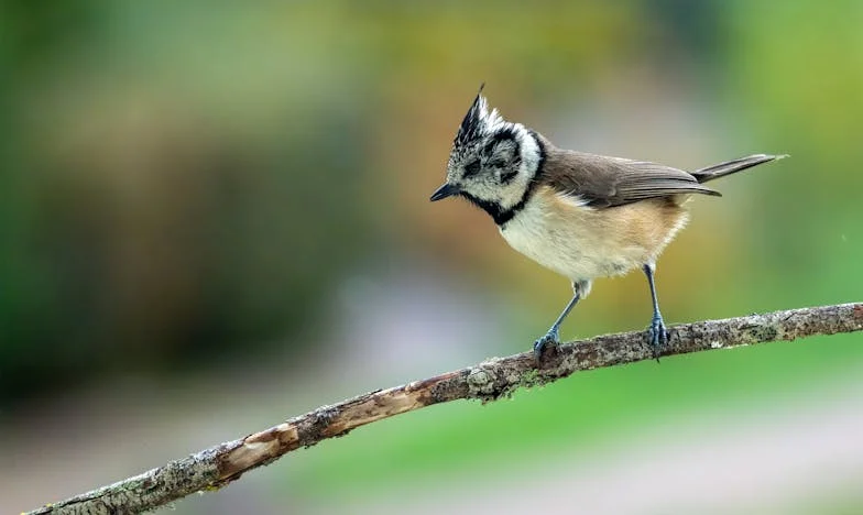 Când nu mai ai voie să fii bunică: Povestea mea dintr-un apartament de bloc din București