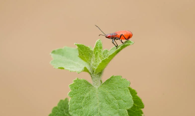 Când totul se prăbușește într-o clipă: Povestea mea cu Mihai