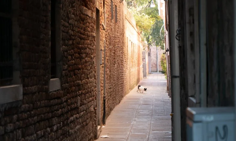 Când trecutul nu moare: Povestea unei mame între iertare și adevăr