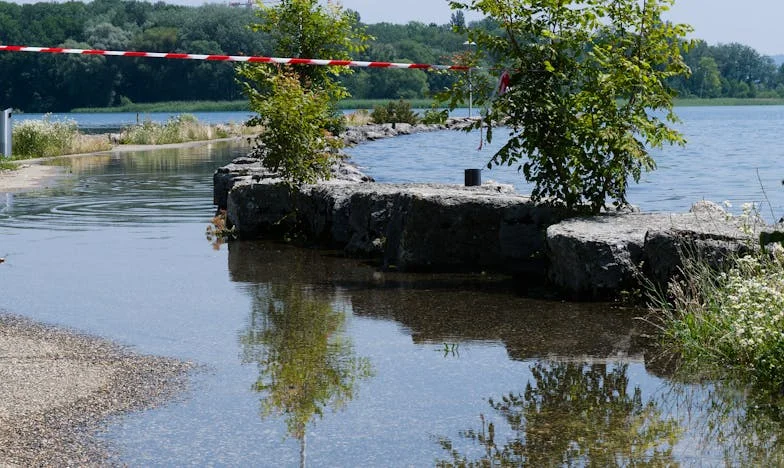 Dimineata cand totul s-a prabusit: Buni Ruza si taina din curte