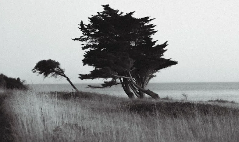 Între două lumi: Povestea Anei și a socrilor săi