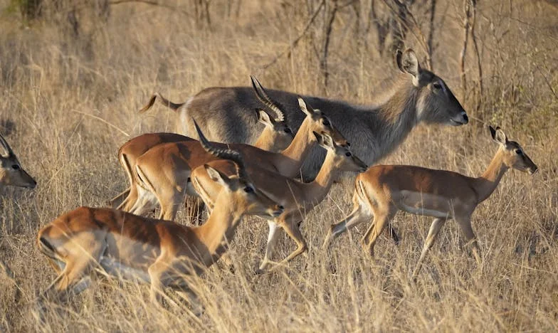 Jumătate de casă pentru fratele vitreg: Povestea unei decizii care mi-a sfâșiat inima