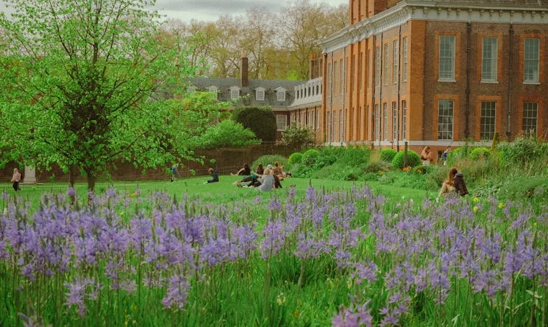 Moștenirea bunicii: Când darul devine povară