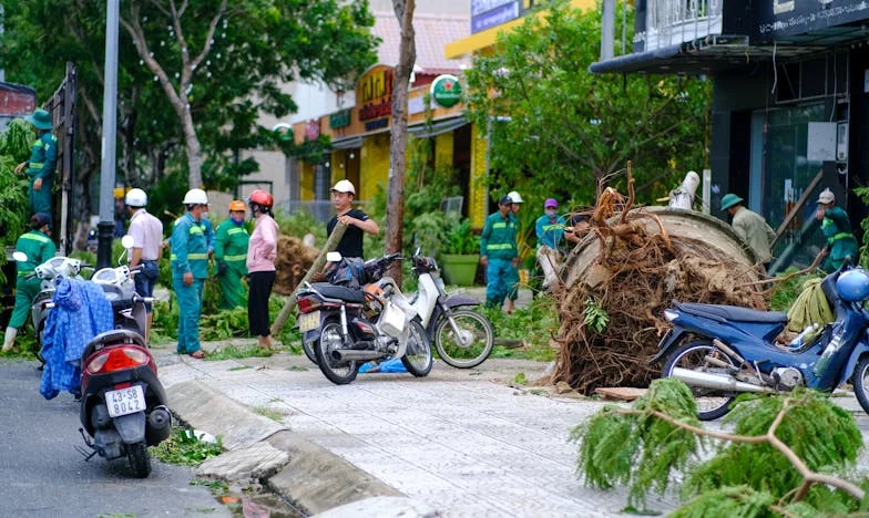 Niciodată n-am apucat să-i spun mamei că sunt însărcinată: Poveste despre familie, secrete și moștenire