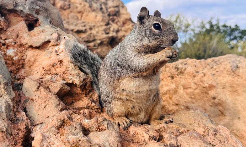 Oglinda spartă din baia nunții: O mamă, o fiică și o trădare ascunsă