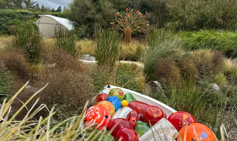 „Părinții soțului meu sunt bogați, dar nu ne ajută” – O dramă românească despre familie, bani și vise frânte