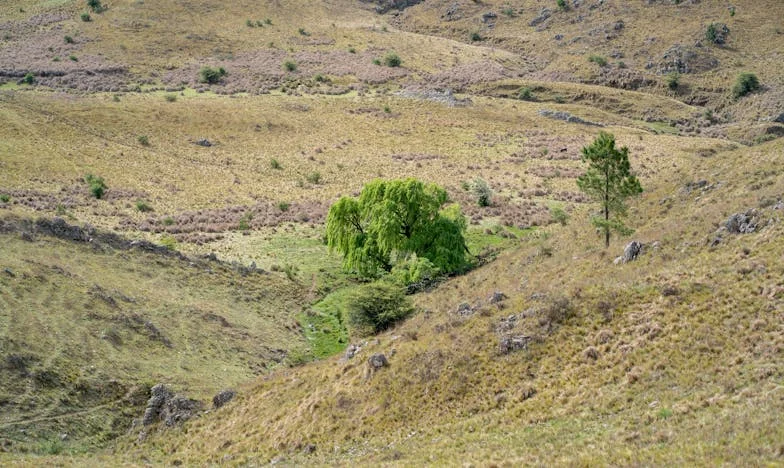 „Soțul meu nu-ți va renova casa!” – Povestea unui război de familie