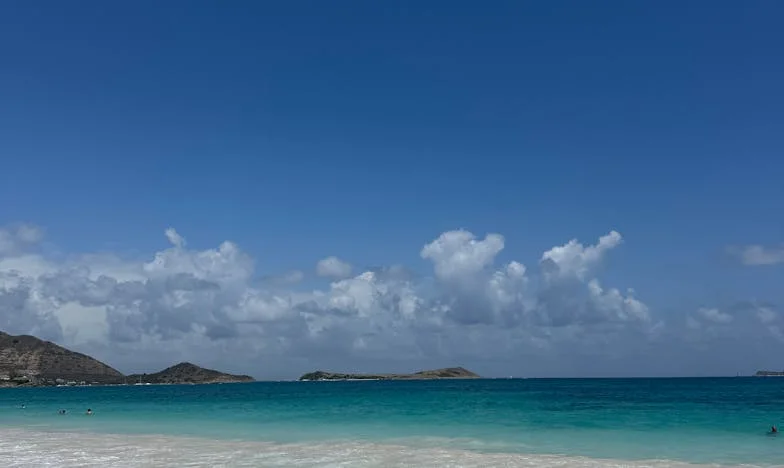 Suni doar când ai nevoie de o bonă: Povestea mea, Ariana, și fiul meu, Dănuț