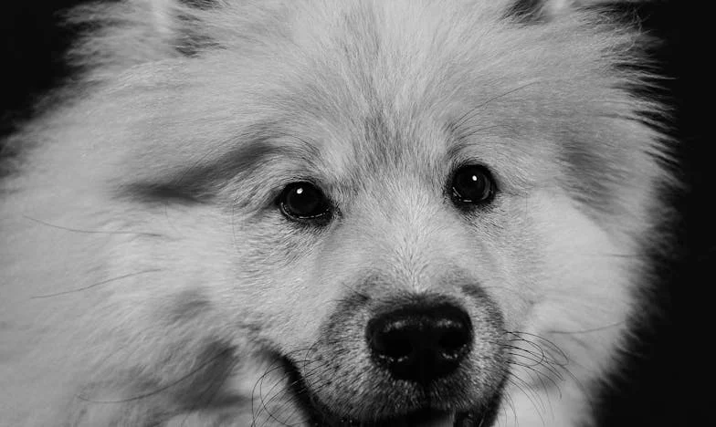 Testamentul care a sfâșiat familia: Povestea mea