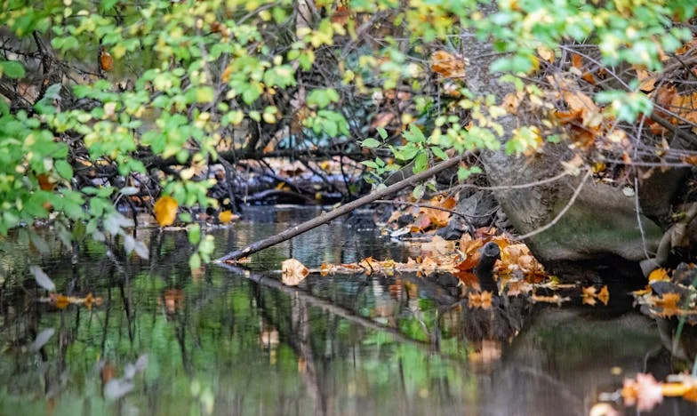 Tot ce e al tău rămâne al tău: Povestea luptei mele pentru casă, familie și adevăr