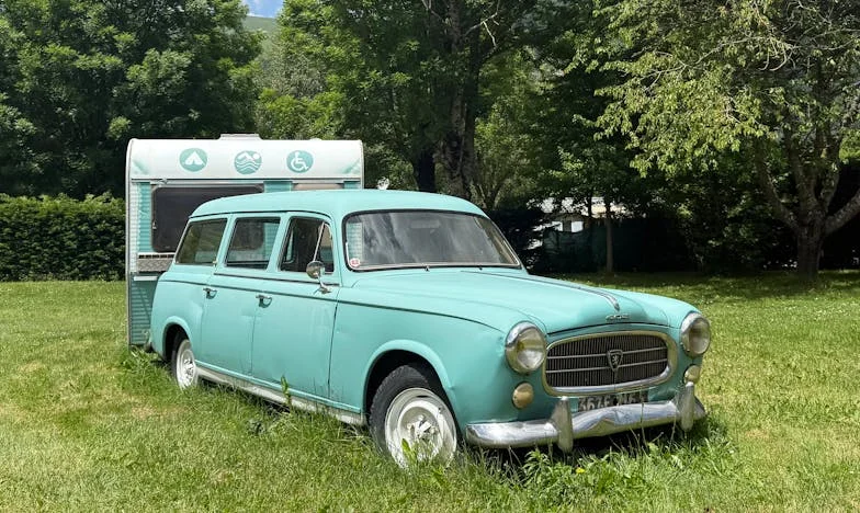 Umbra Mariei: Adevărul din spatele ferestrelor închise