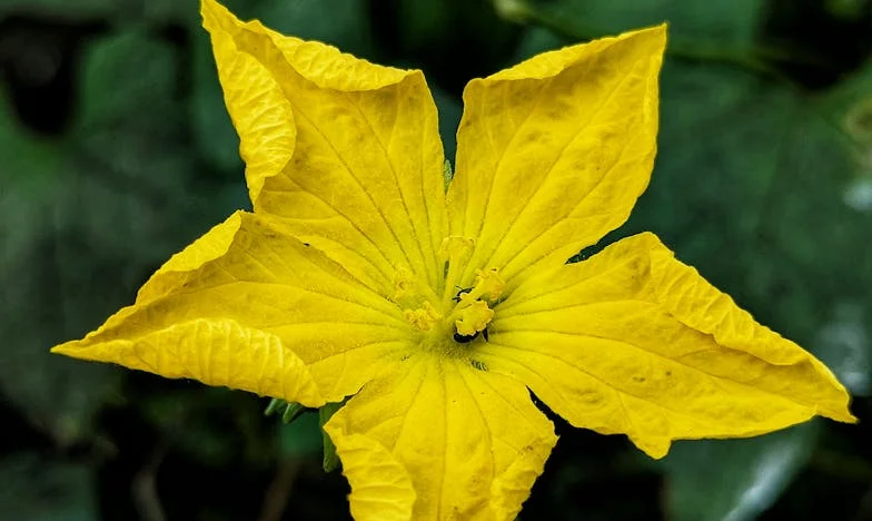 Umbra trădării: O zi care mi-a schimbat viața