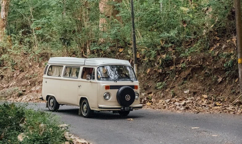 Umbra trecutului: Mama soacră și fiul meu