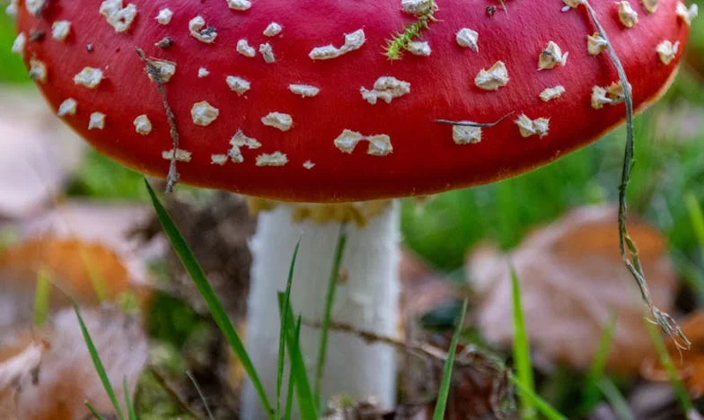 Când am luptat pentru liniștea familiei mele: O poveste despre curajul de a spune „nu”