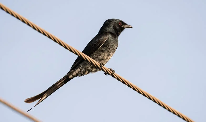 Când dragostea și mândria nu ajung: Povestea unei case, a unei familii și a așteptărilor nerostite