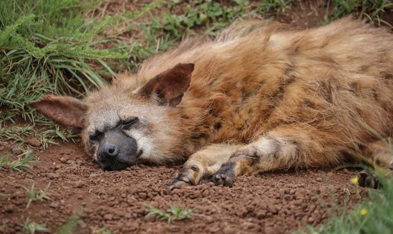 Când familia devine afacere: Povestea mea despre încredere, trădare și regăsire