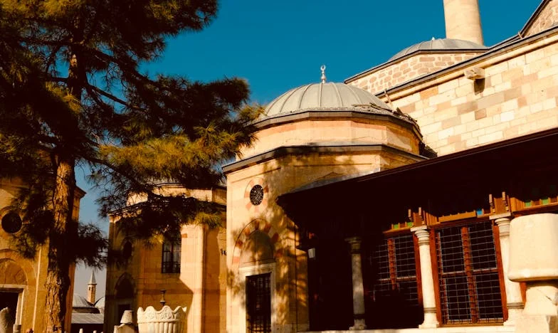 Când totul se prăbușește: Povestea mea după moartea lui Mihai