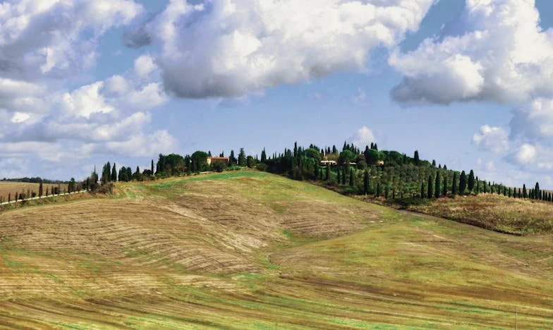 Cina aniversară fără stres: Cum am supraviețuit zilei de naștere a soțului meu și am rămas întreagă la minte