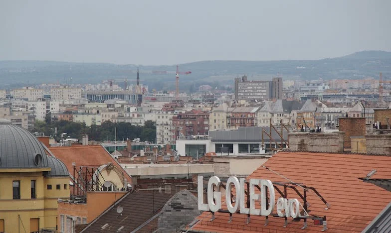 Cine ești tu, bunico? Povestea unei absențe care doare