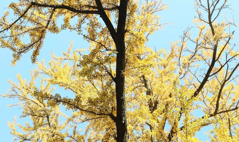 Credeam că mă înșală cu o tânără. Dar el... s-a întors la fosta lui, după 25 de ani